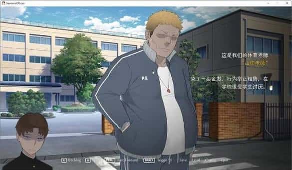 视觉数据5